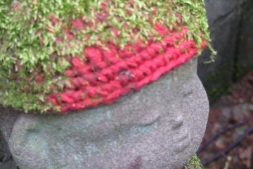 El musgo creciendo aquí indica longevidad, sin embargo, el gorro rojo parece estar en buenas condiciones