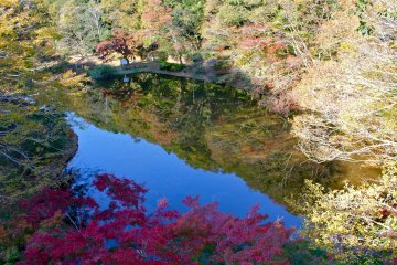 <p>A birdseye&nbsp;view of the duck pond from Izumi&nbsp;Nature Bridge</p>