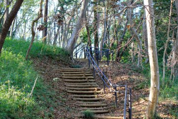 <p>Many trails such as this are scattered throughout the park</p>