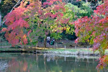 <p>Many families hiked through the park to settle around the duck pond</p>