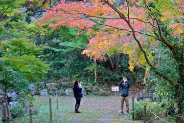 <p>Get your cameras ready because the fall colors are pretty spectacular here</p>