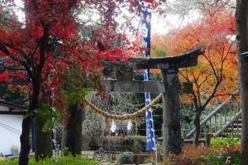 <p>The site is considered sacred, hence the torii&nbsp;gate and the small shrine next to the water source</p>