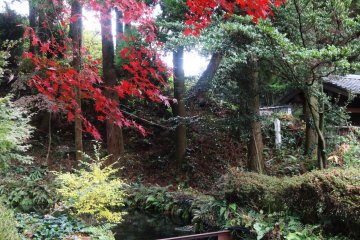 <p>Shirakawa Springs is rarely crowded, even on the weekends</p>