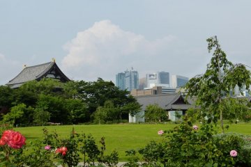 A view of the temple from Shiba Koen Park.