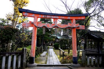 Torii di pintu masuk kuil, saya bahkan tidak menemukannya di Google Maps!