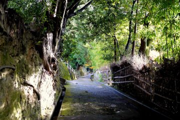 Sepertinya jalanan ini menuju gunung
