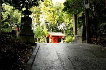 Stone lanterns flank the road as it emerges from the shadow of the trees into the sunlight