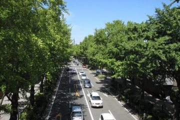 <p>Yamashita-Koen Dori (Yamashita Park Street) berbatasan taman. Daunnya berubah warna kuning emas yang indah di musim gugur.</p>