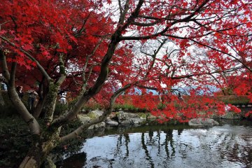 Kyoyo Garden at Nishiyama Park