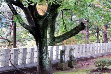 <p>Two small statues standing side by side at the foot of the giant maple tree</p>