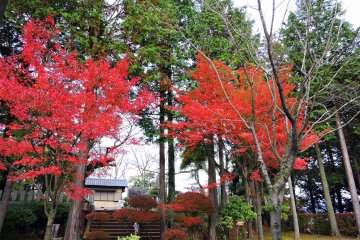 <p>Looking at the shrine grounds from Nishiyama Park's Japanese garden</p>