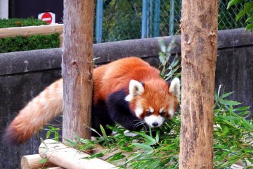 <p>Hello cutie!</p>