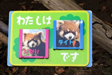 <p>The panda on the left is named Hikari ('light' in English), and the panda on the right is named Light ('hikari' in Japanese). OK, I'm totally confused... how can I distinguish them when both are named 'Light'?!</p>