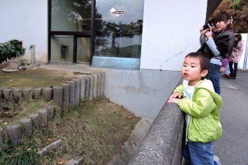 <p>Kids love the pandas of course!</p>
