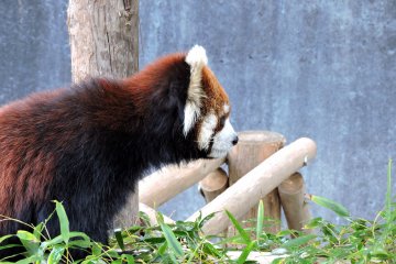 <p>I wonder what he was looking at?</p>