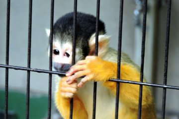 <p>Ohhh! How adorable!</p>
