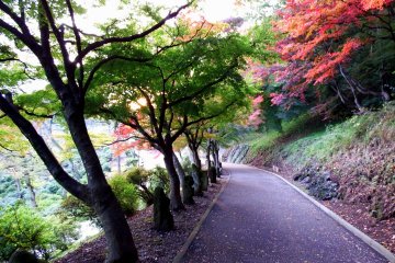 <p>Many statues line the path decorated with beautiful autumn leaves</p>