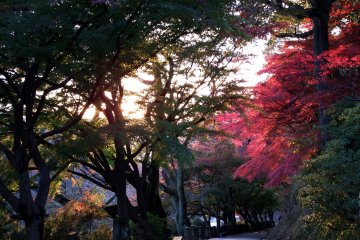 <p>Prayer Path of Nishiyama Park under the setting sun</p>