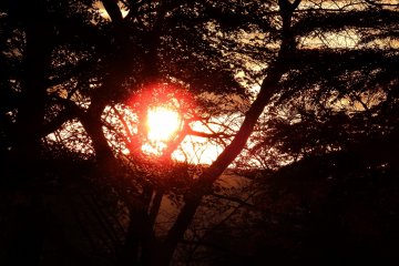 <p>Burning sunset viewed from the Prayer Path</p>