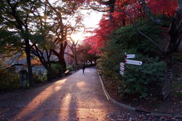 <p>A beautiful autumn day ending on the Prayer Path in Nishiyama Park</p>
