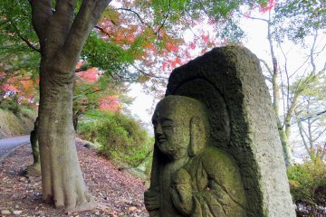 <p>Buddha statue under a giant maple tree</p>