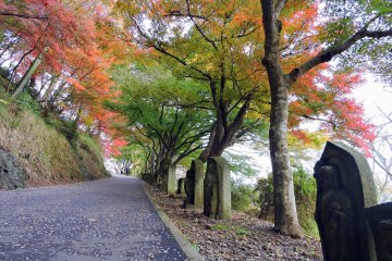 <p>Colorful autumn leaves along the Prayer Path</p>