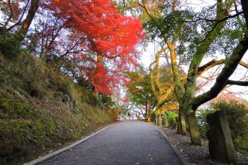<p>Walking up the Prayer Path while appreciating the colorful autumn leaves</p>