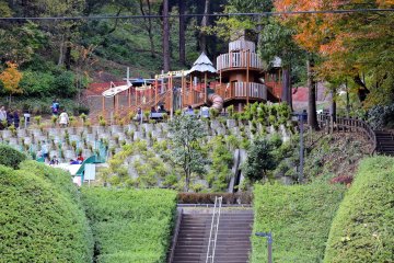 <p>Panda Land dilihat dari seberang jalan</p>
