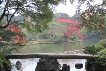 Rikugi-en Park, Bunkyo-ku, Tokyo