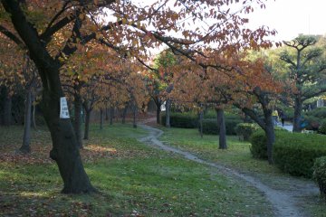 <p>Should we follow that path?</p>