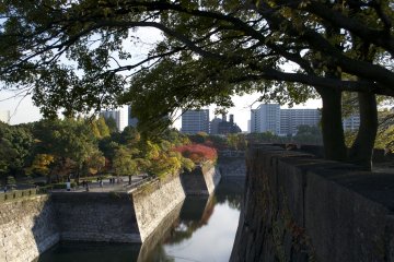 <p>A bit of everything: Nature and city life</p>