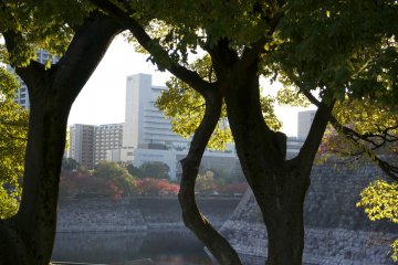 <p>Nature or city life?</p>