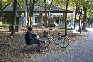 <p>Chilling at the beautiful park</p>