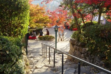 <p>Stairs down to more foliage</p>