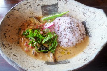 Another lunch on a day I visited was a delicious curry. It was served with a salad and some mini side items (not pictured).