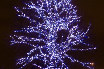 A Christmas tree in MM21.