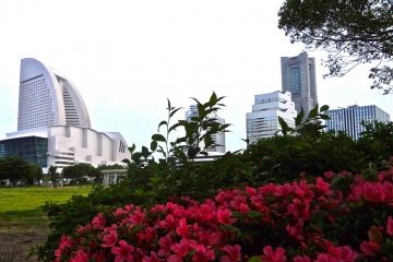 Taman ini menawarkan keseimbangan yang indah dari alam dan perkotaan