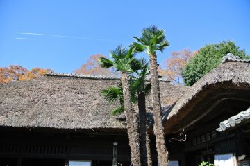 <p>This house with a thatched roof is Higeta Aizome (indigo) Koubou (Studio). It is just next to the Mashiko Information Center</p>