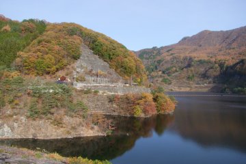 <p>Fall's beauty</p>