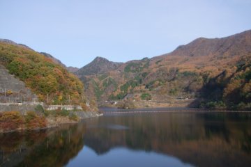 <p>A patch of peaceful beauty</p>