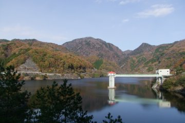 <p>Nature's splendor</p>