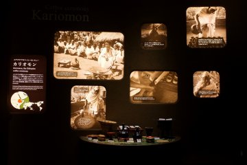 <p>The history of coffee</p>