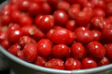 <p>Coffee cherries</p>