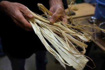 <p>Kulit pohon yang digunakan untuk membuat washi</p>