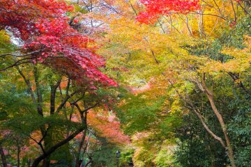 <p>The park is very crowded on weekends</p>