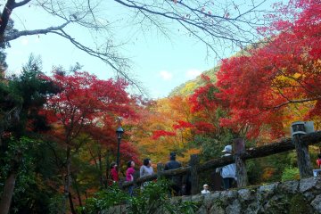 <p>Family time at the park</p>