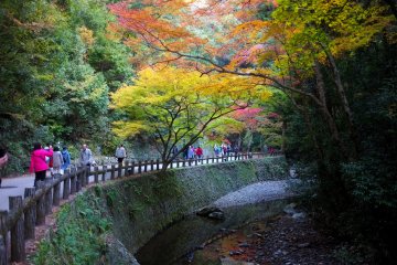 <p>Follow the trail</p>