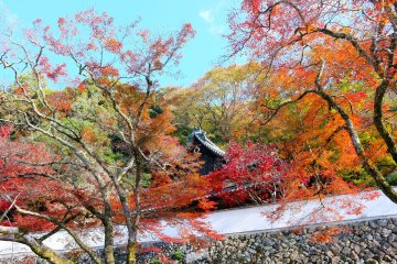 <p>Ryuanji Temple</p>