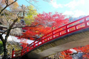 <p>The bridge framing its surrounding scenery is very beautiful</p>