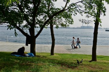 Take a stroll along the bay front and next to these beautiful pine trees.